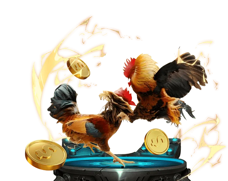 Hình ảnh minh họa quy trình đăng ký Kwin68